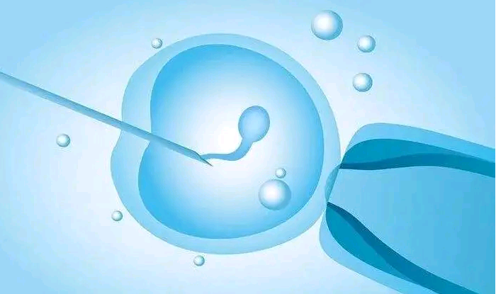 卵巢早衰50天没怀孕&双卵双胎,高龄妇女做试管婴儿成功率和风险相比值得吗